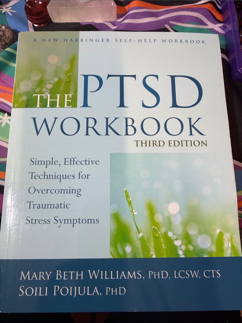 The PTSD Workbook — Third Edition by Mary Beth Williams (Blue/Green)